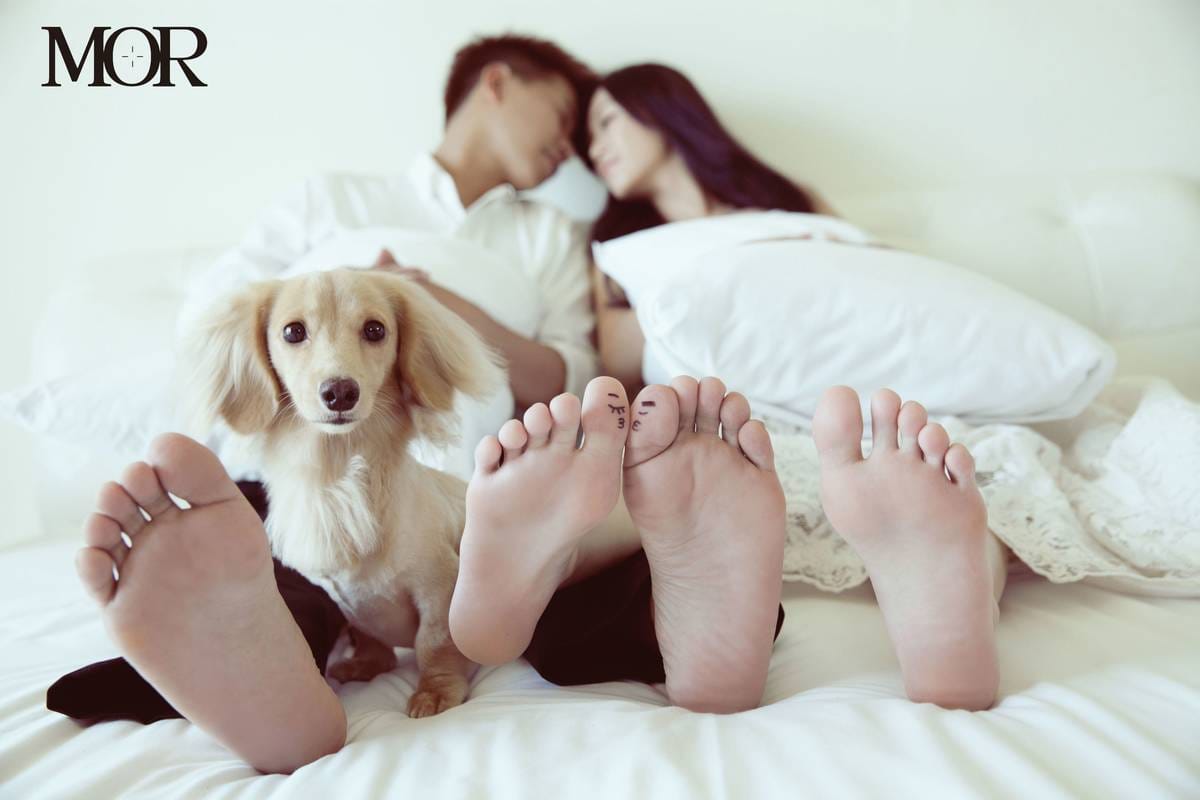 「手術失敗」導致寵物安樂死，親人們該如何面對？