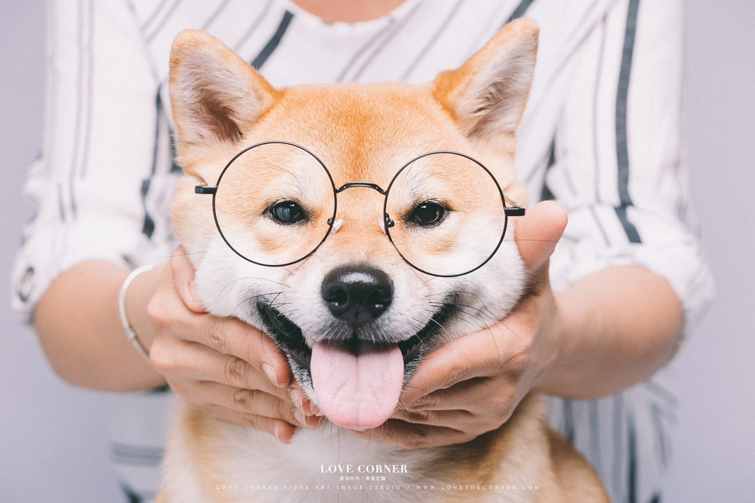 狗垂頭喪氣、脫水是生病徵兆！飼主要及時救治！