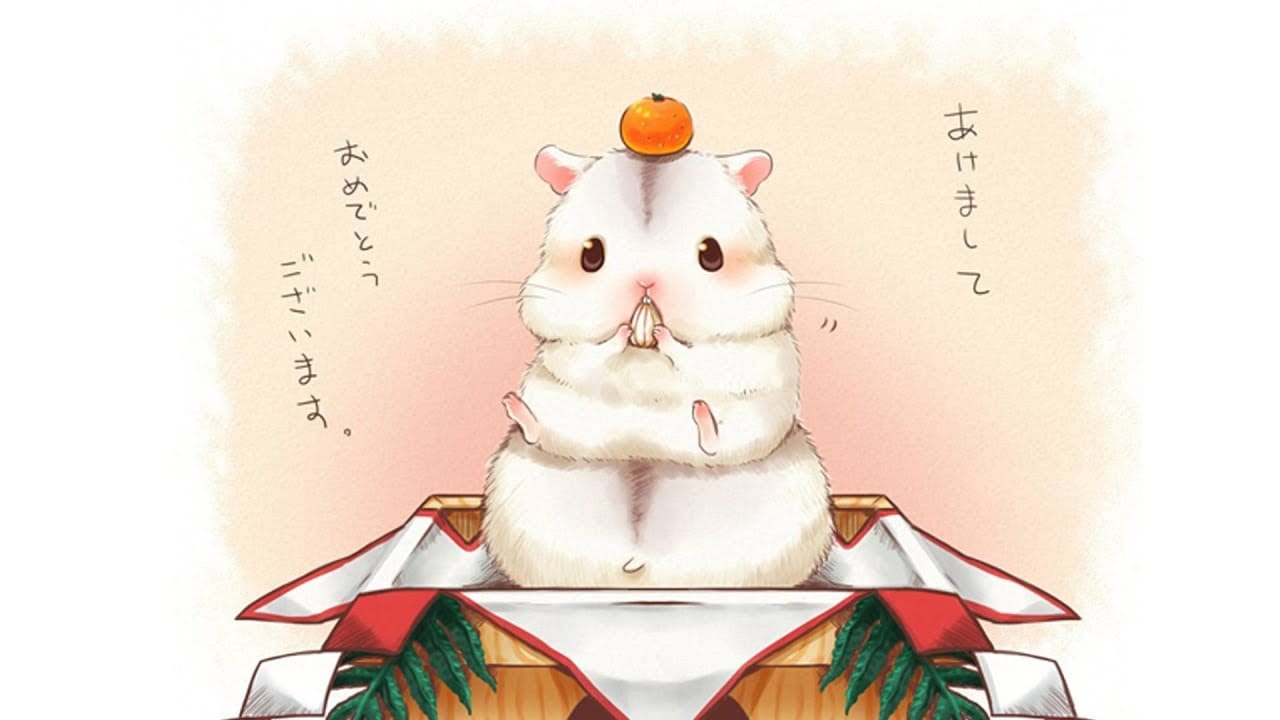專業養倉鼠就靠它！學會如何預防倉鼠生病。