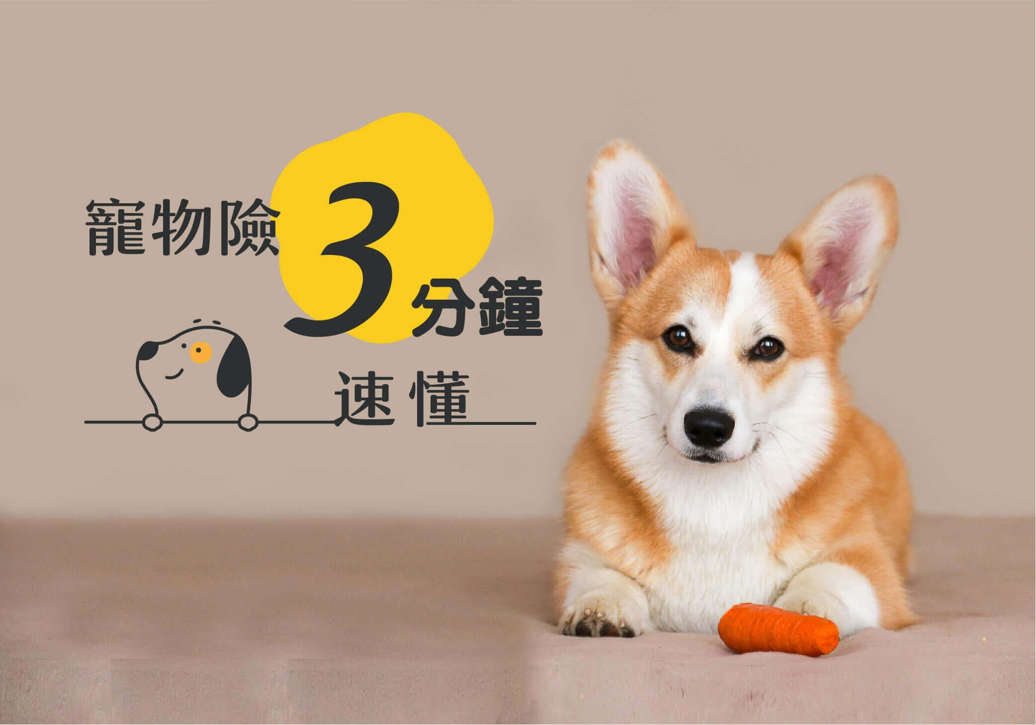 一般寵物保險都有哪些限制？需要特別注意的事項是什麼？