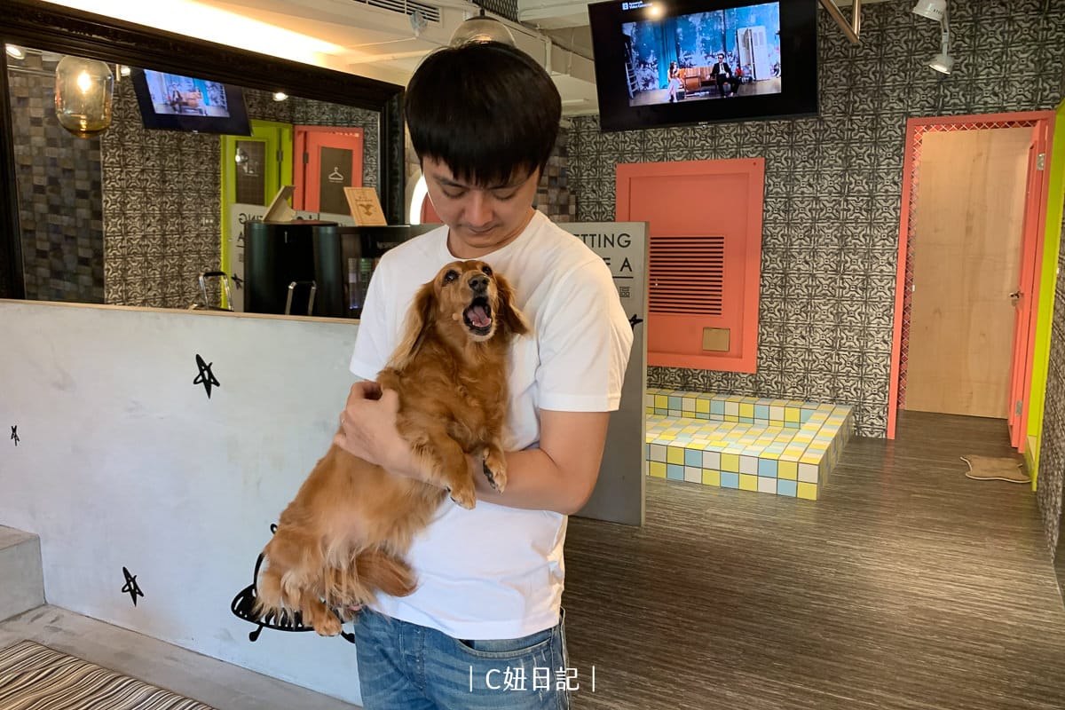 寵物最後的旅程：如何善終及安詳離開